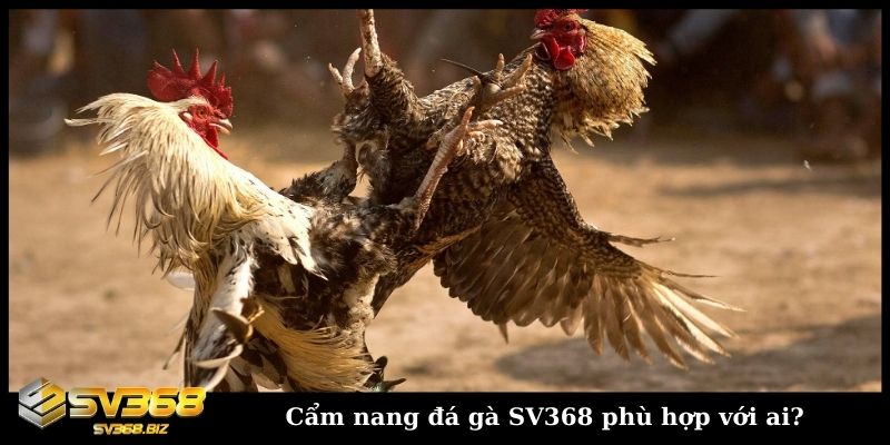 Cẩm nang đá gà SV368 phù hợp với ai?