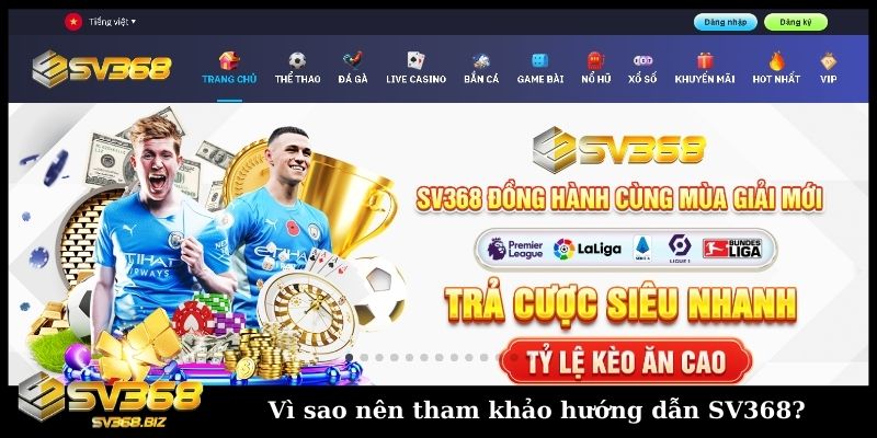 Vì sao nên tham khảo hướng dẫn SV368?